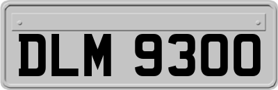 DLM9300