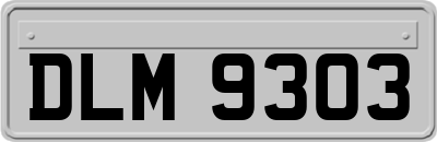 DLM9303