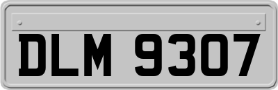 DLM9307