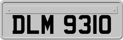 DLM9310