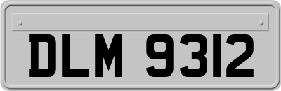 DLM9312