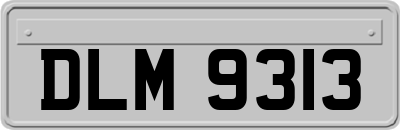 DLM9313