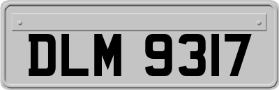 DLM9317