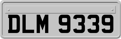 DLM9339
