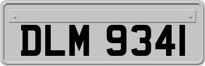 DLM9341