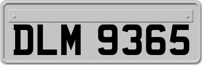 DLM9365