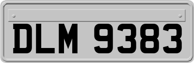 DLM9383