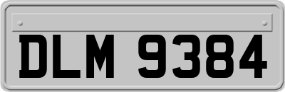 DLM9384