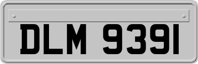 DLM9391