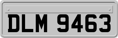 DLM9463
