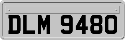 DLM9480