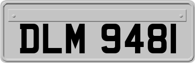 DLM9481