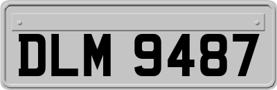 DLM9487