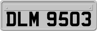 DLM9503