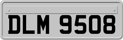 DLM9508