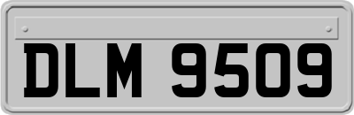DLM9509