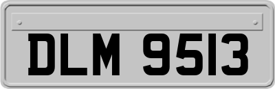 DLM9513