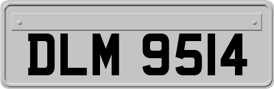 DLM9514