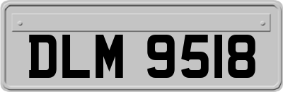 DLM9518