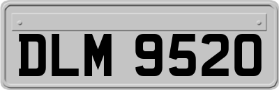 DLM9520