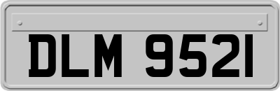 DLM9521