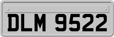 DLM9522