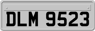 DLM9523