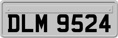 DLM9524