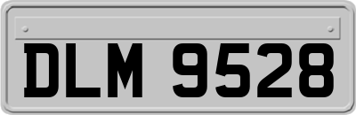 DLM9528