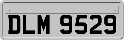 DLM9529