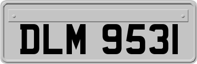 DLM9531