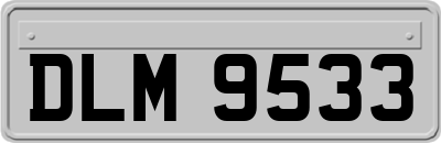 DLM9533