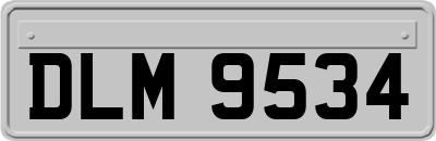 DLM9534