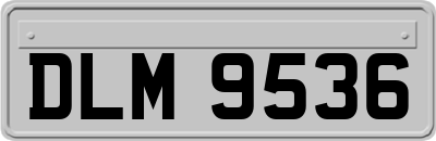 DLM9536