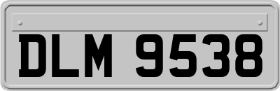 DLM9538