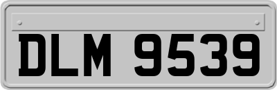 DLM9539