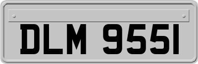 DLM9551