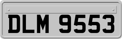 DLM9553
