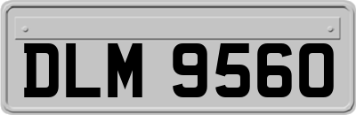 DLM9560