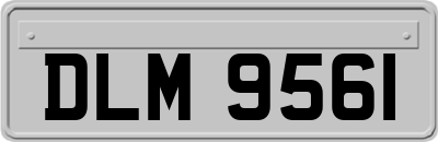 DLM9561