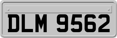 DLM9562
