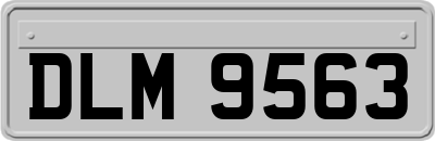 DLM9563