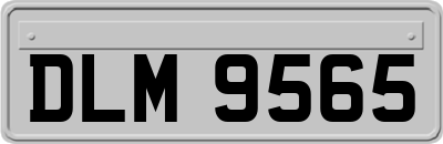 DLM9565