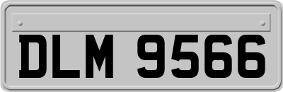 DLM9566