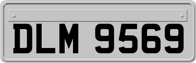 DLM9569