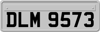 DLM9573