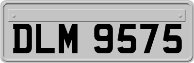 DLM9575