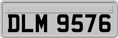 DLM9576