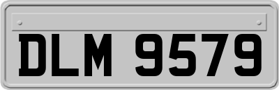 DLM9579