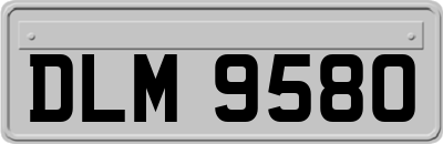 DLM9580